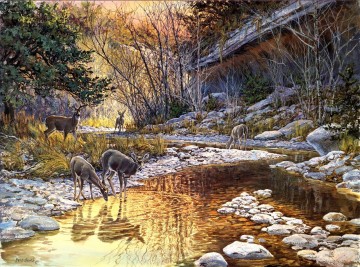 whitetail drinking in stream Oil Paintings